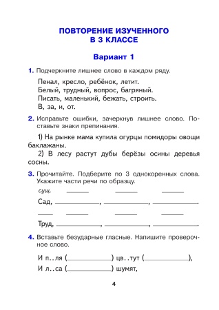 Русский язык. 4 класс. Готовые самостоятельные работы