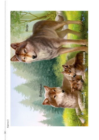 Дзікія жывёлы Беларусі : наглядна-метадычны дапаможнік