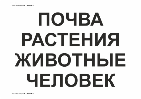 Схемы-опоры. Человек и мир. 2 класс: в 2 ч. Ч. 1