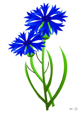 Тематические картинки. Цветы (А4, 4+0, 15 л.)