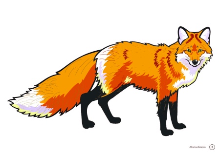 Тематические картинки. Животные Беларуси (А4, 4+0, 17 л.)