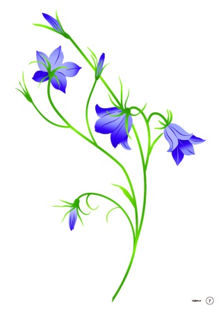 Тематические картинки. Цветы (А4, 4+0, 15 л.)