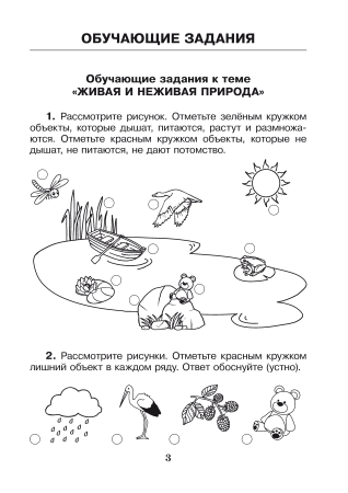 Человек и мир. 1 класс. Практические задания Человек и мир. 1 класс. Практические задания
