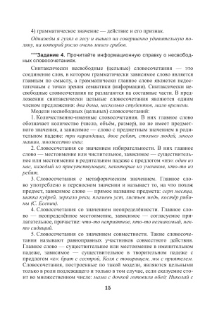 Русский язык. 11 класс. Дидактические и диагностические материалы (базовый и повышенный уровни)