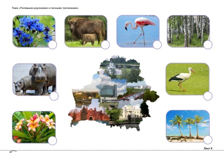 Воронецкая Л.Н. С чего начинается Родина (от 3 до 4 лет)