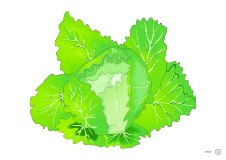 Тематические картинки. Овощи