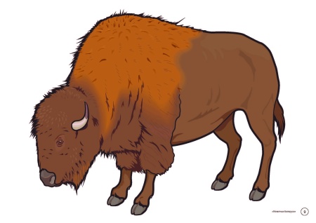 Тематические картинки. Животные Беларуси (А4, 4+0, 17 л.)