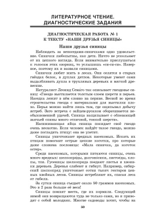 Русский язык. Литературное чтение. 4 класс. Практические задания