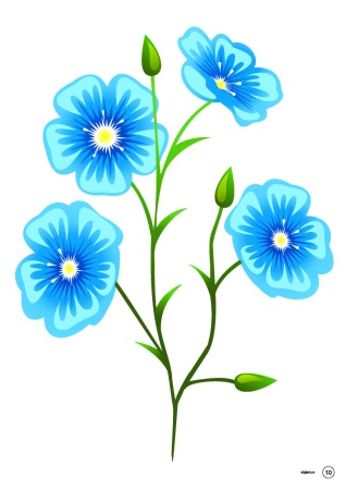 Тематические картинки. Цветы (А4, 4+0, 15 л.)